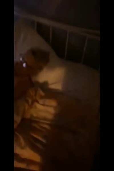 Rude Awakening