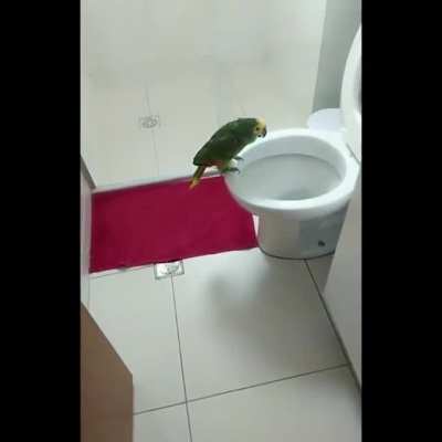 Какой у нее красивый голос!