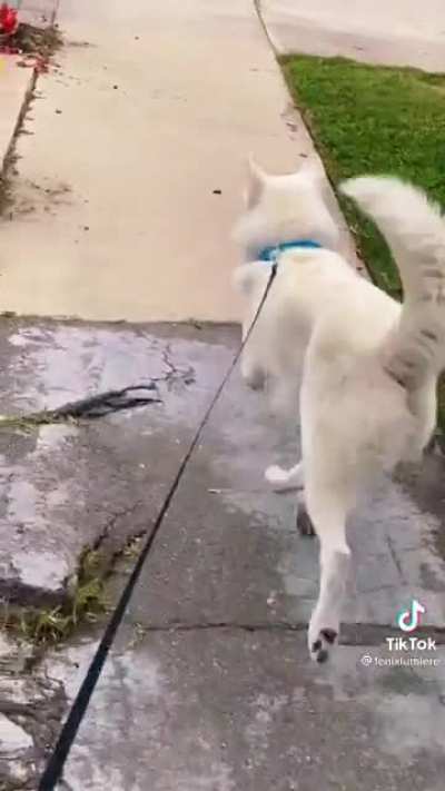 The ol’ razzle dazzle