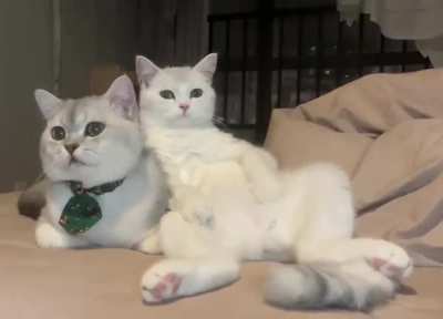 Watching TV together shoulder-to-shoulder, doesn't it look like you are leaning on your boyfriend's shoulder?