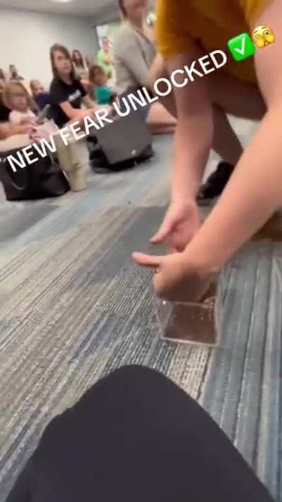 To show him the tarantula 