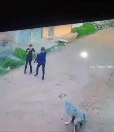Everybody's a gangster until it's time to do gangster shit