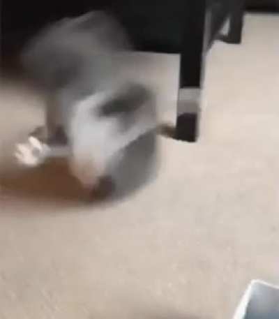Хоба!