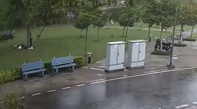 It’s dangerous to stand under a tree during a storm..!!