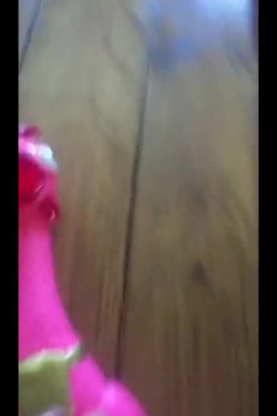 The pig goes