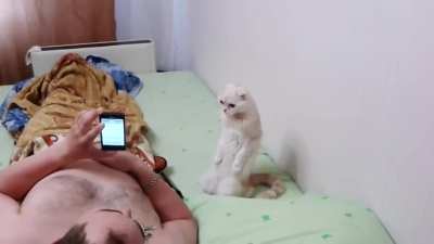 Cat Stands for Russian National Anthem