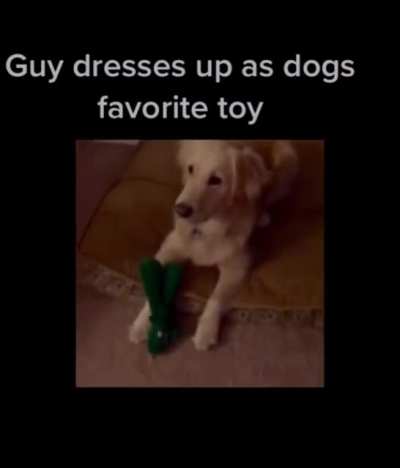 awww so cute