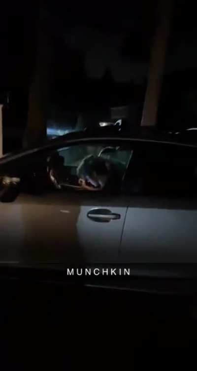 the other night, my buddy was going around town giving out free munchkins. sorry bout the scare joe