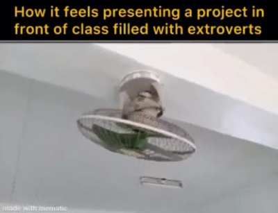 Daily life of an introvert
