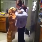 Hugs.