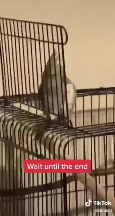 Found this while scrolling on tiktok