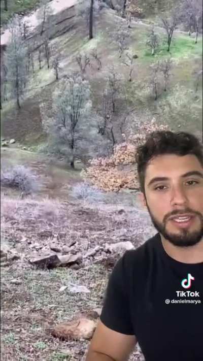 as mulheres nao intenderiam