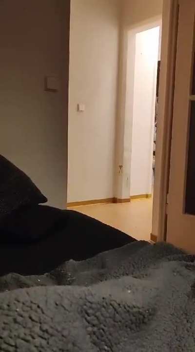 I checked security footage from my home last night. Couldn't believe my own eyes when I saw this criminal passing by. Send help