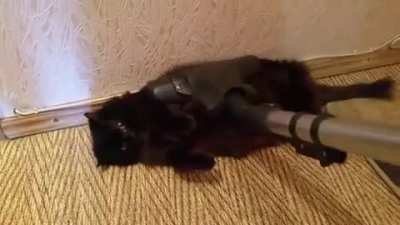 Lazy chonker