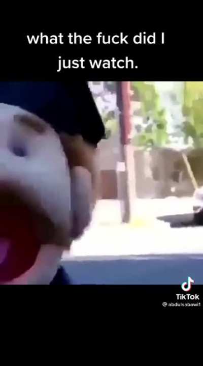 Tiktok Wildin 💀