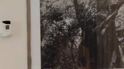 Andrea Botez nude (barely visible)