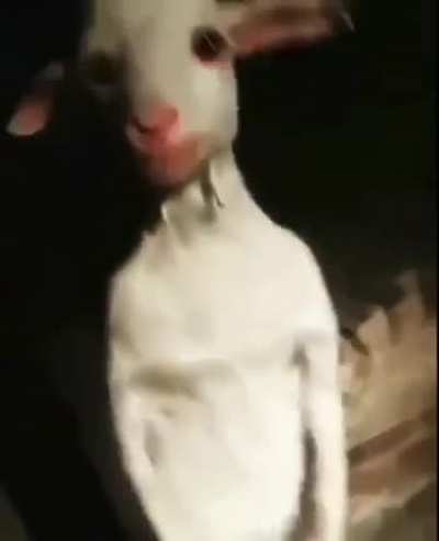 Asriel irl gaming