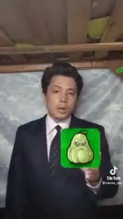 PvZ