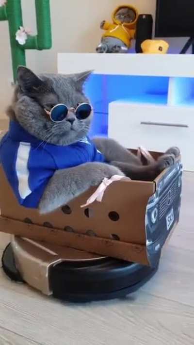 I'll never be this cool :(