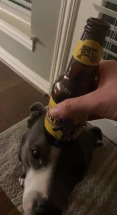 One second before I trust my dog and I make a mess