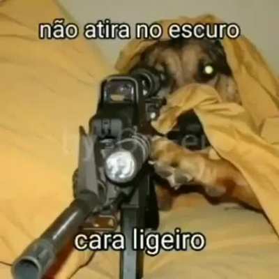 Doguíneos