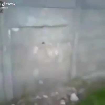 Kick an old wall