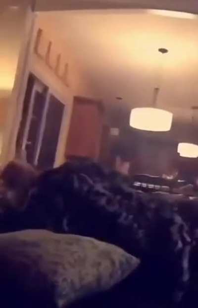 Attempted murder 💀