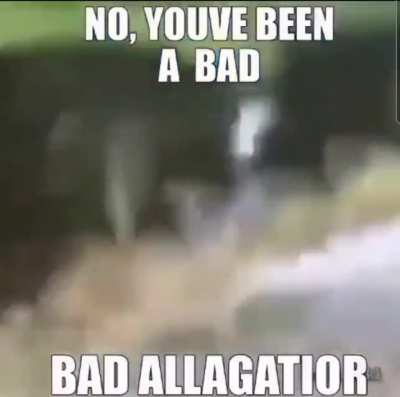 Bad alligator