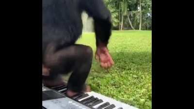 Monke create