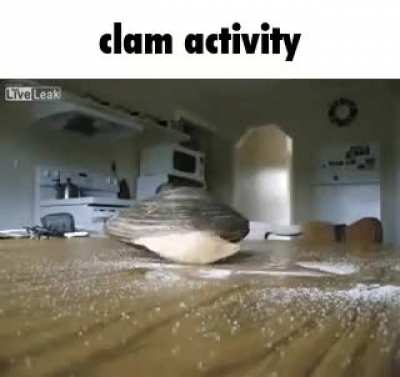 clam rule