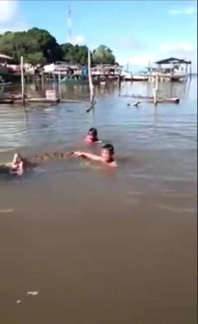 Playing with your pet croc