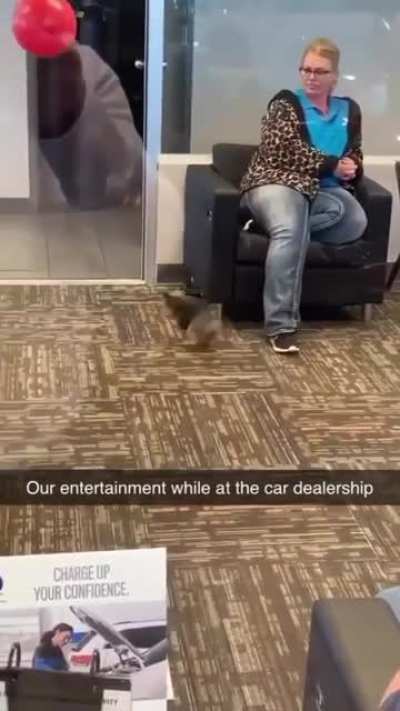 Killing time at the dealership