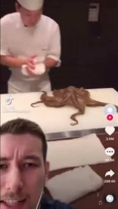 Is that a squid? Or a bagel (I’m bad with titles)