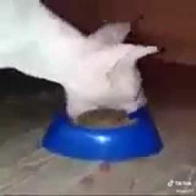 Scrumptious