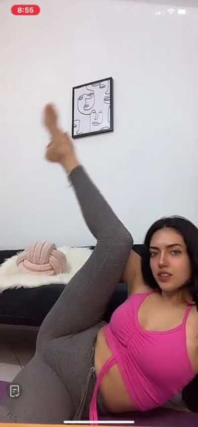 MsL