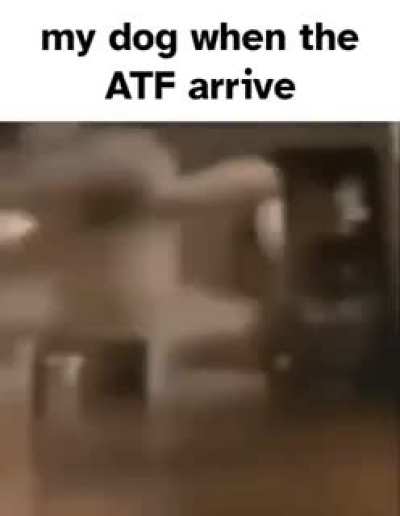 Every time, man!