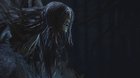 Friede.mp4