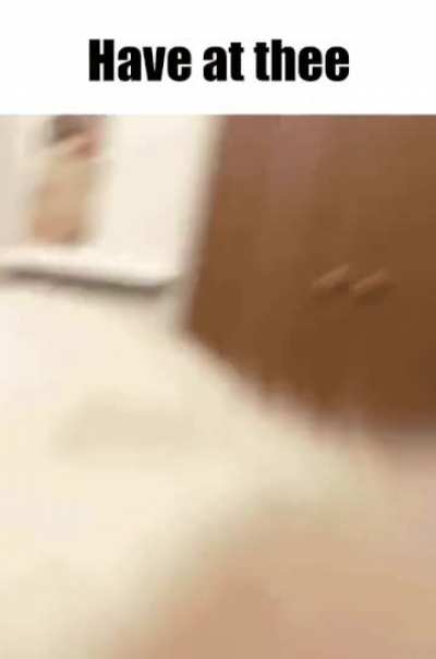 pov: stinky rat eats you alive