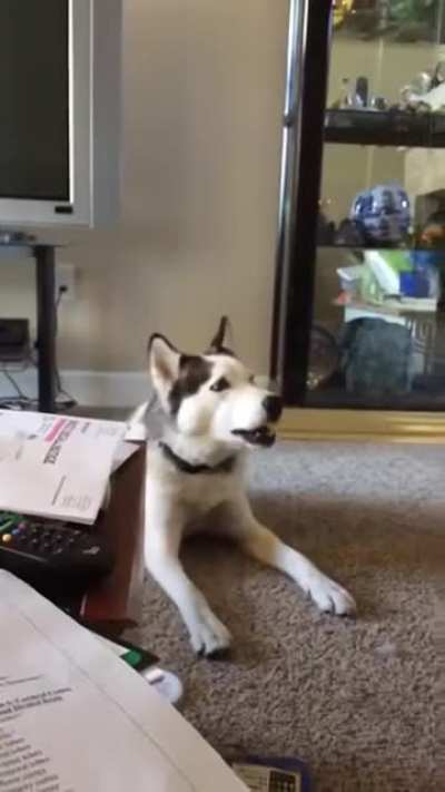 Wrrraaaaaaaaa