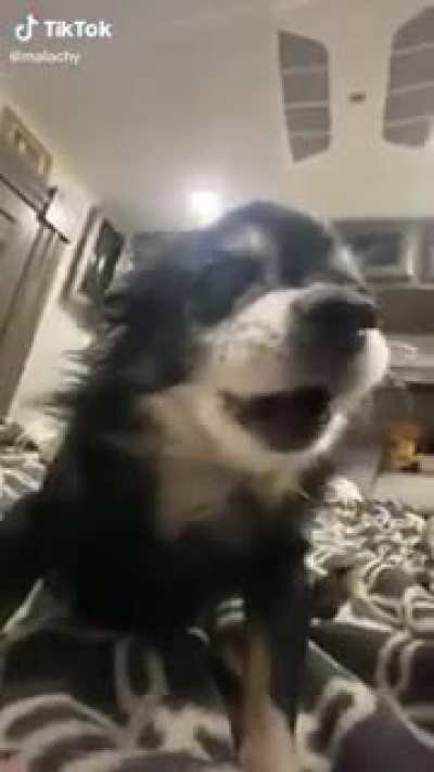 RIP PUDGYWOKE 🙏😢