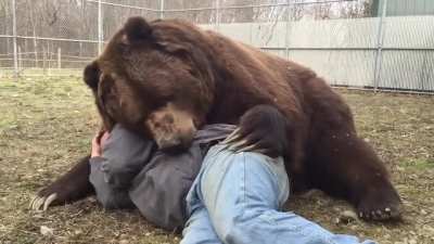 Two Kodiak