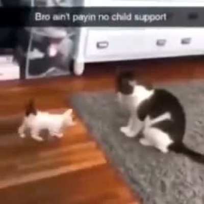 ..Dad?