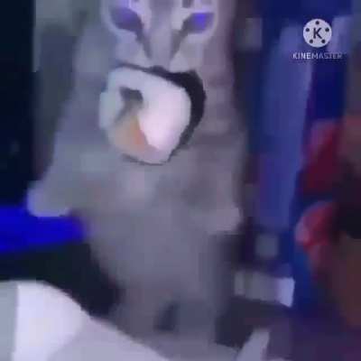 wiowiiiii