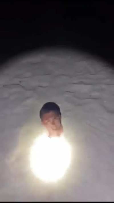 What in the actual fuck