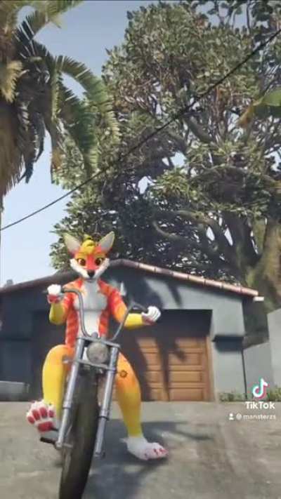 gta_irl