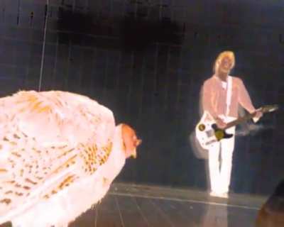 The entire Anyone Can Play Guitar music video for no reason in particular