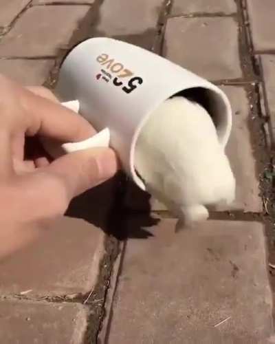 Never spill out