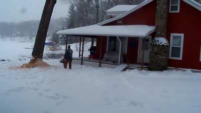 Tree takes anger out on house