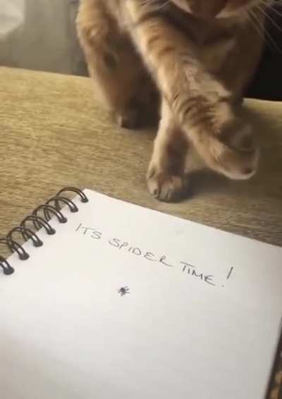 Spider time