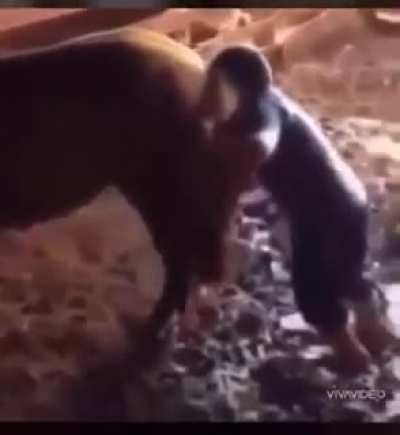 To esperando meu ban!!